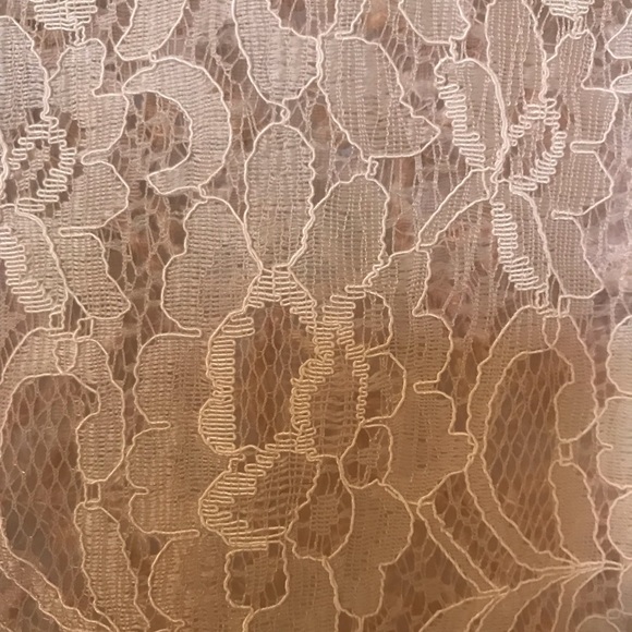 ZARA lace crop top - Picture 4 of 6